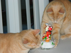 kittens and decorations