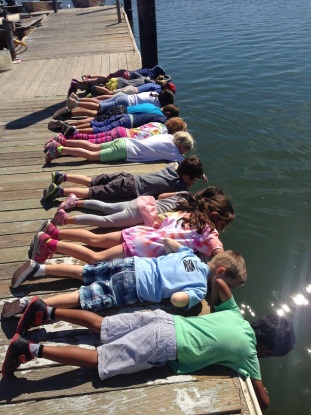 Belly biology on our docks