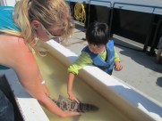Touching a leopard shark that was caught in the fishing net